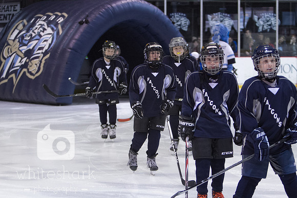 2014-02-23_007-2