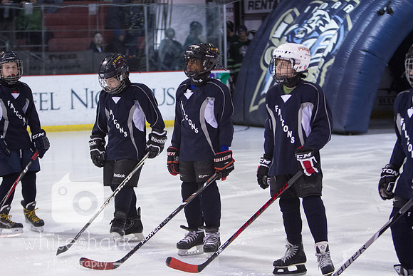 2014-02-23_008-2