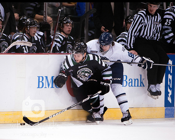2013Ice.vs.RoughRiders0012
