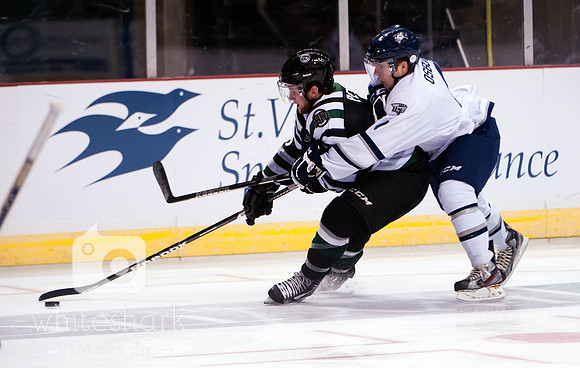 2013Ice.vs.RoughRiders0011
