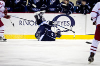 2011-02-04_029
