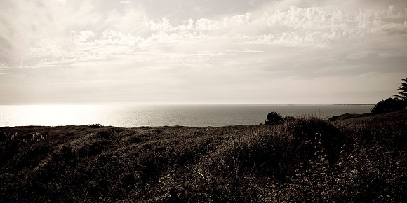 Sepia Coast